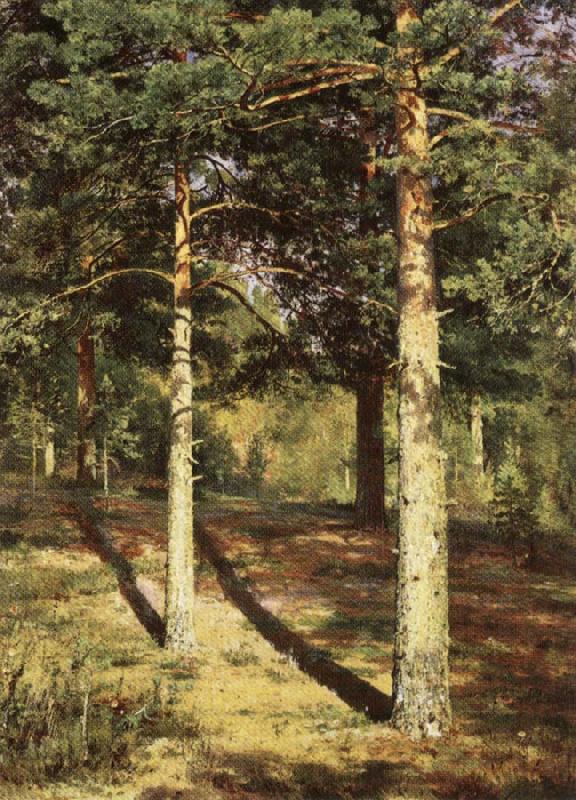 Ivan Shishkin Pine Wood Illuminated by the Sun Norge oil painting art